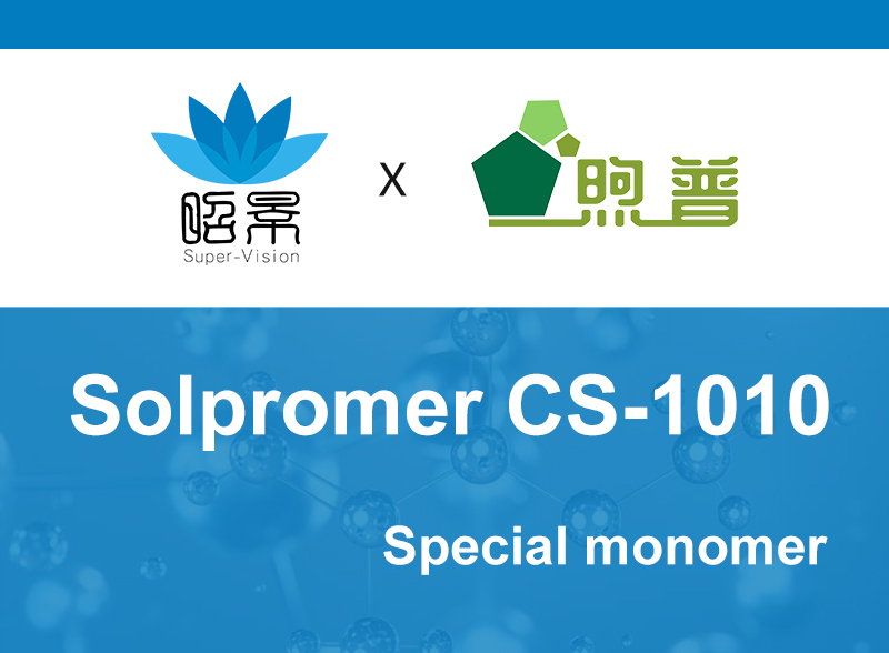 CS-1010 